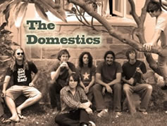 The Domestics